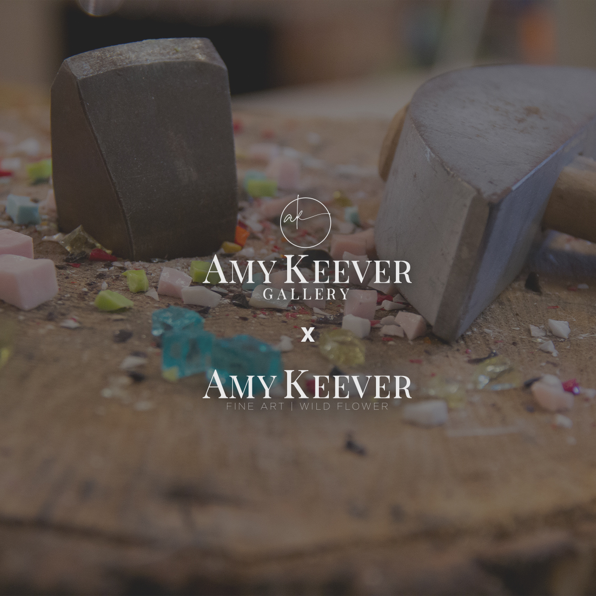 Amy Keever Gallery Portfolio Project Featured Image